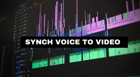 add voiceover to video in adobe premier
